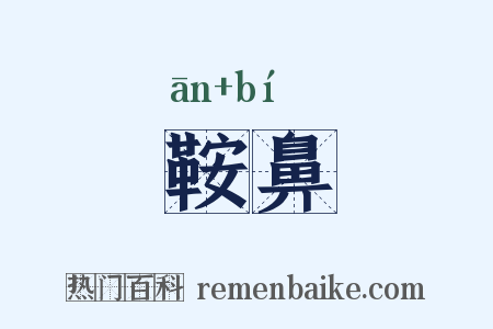 鞍鼻是什么意思的图片